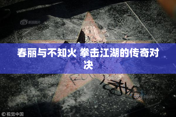 春丽与不知火 拳击江湖的传奇对决