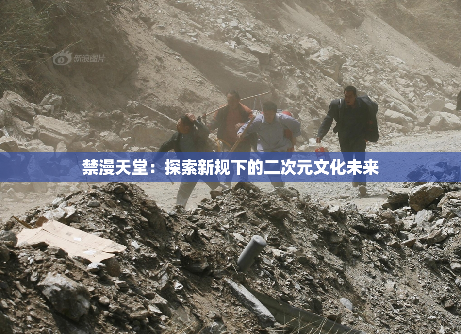 禁漫天堂：探索新规下的二次元文化未来
