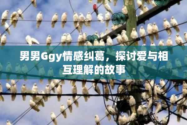 男男Ggy情感纠葛，探讨爱与相互理解的故事