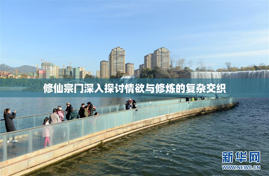 修仙宗门深入探讨情欲与修炼的复杂交织