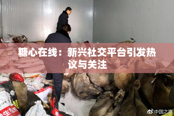 糖心在线：新兴社交平台引发热议与关注