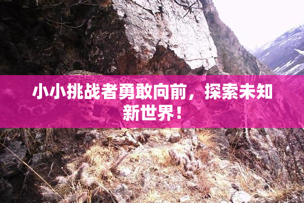 小小挑战者勇敢向前，探索未知新世界！