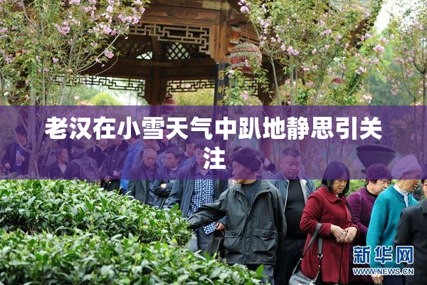 老汉在小雪天气中趴地静思引关注