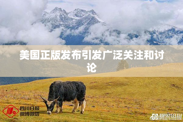 美国正版发布引发广泛关注和讨论