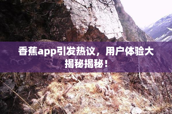 香蕉app引发热议，用户体验大揭秘揭秘！