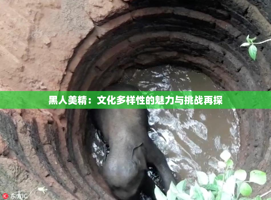 黑人美精：文化多样性的魅力与挑战再探