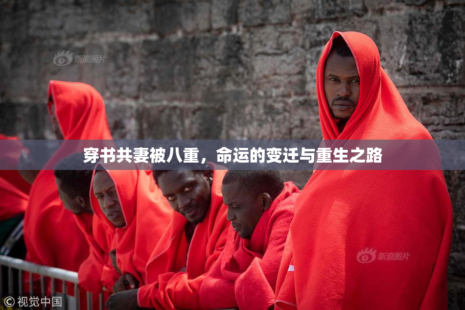 穿书共妻被八重，命运的变迁与重生之路