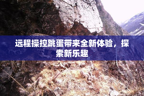 远程操控跳蛋带来全新体验，探索新乐趣