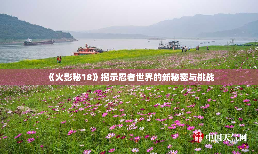 《火影秘18》揭示忍者世界的新秘密与挑战