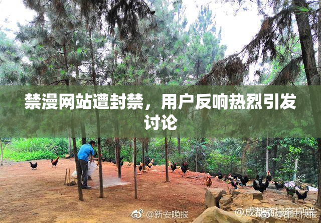 禁漫网站遭封禁，用户反响热烈引发讨论