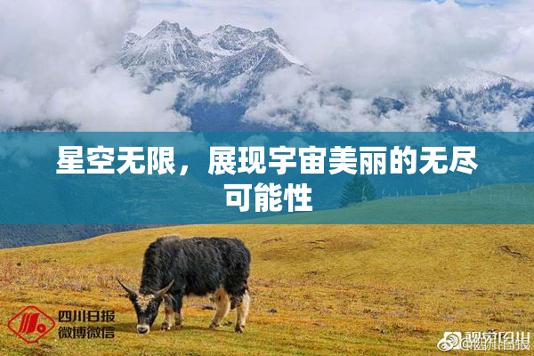 星空无限，展现宇宙美丽的无尽可能性