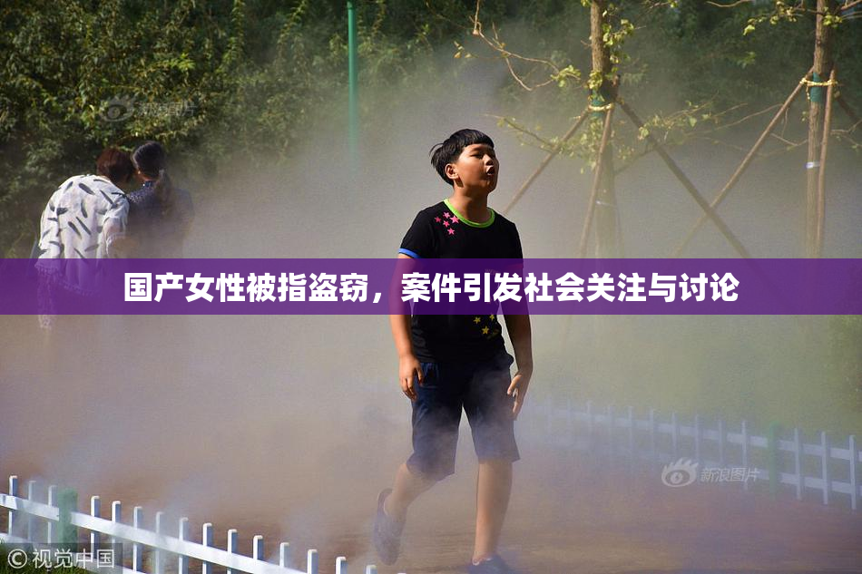 国产女性被指盗窃，案件引发社会关注与讨论