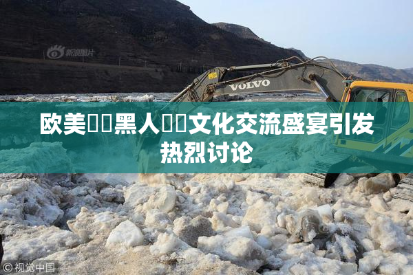 欧美❌‌黑人❌‌文化交流盛宴引发热烈讨论