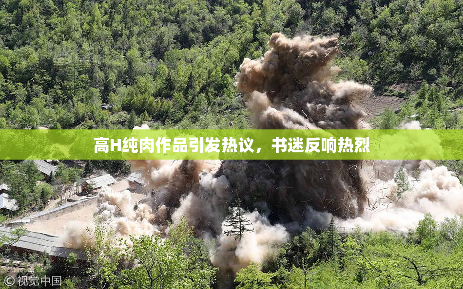 高H纯肉作品引发热议，书迷反响热烈
