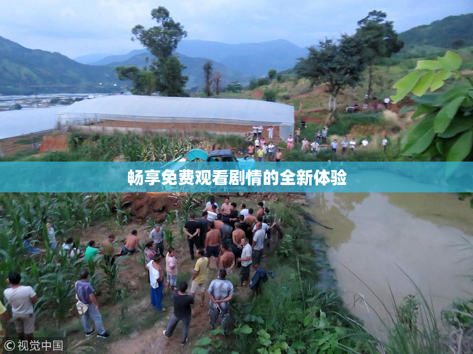 畅享免费观看剧情的全新体验