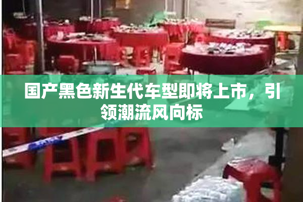 国产黑色新生代车型即将上市，引领潮流风向标