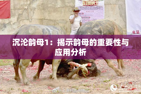 沉沦韵母1：揭示韵母的重要性与应用分析