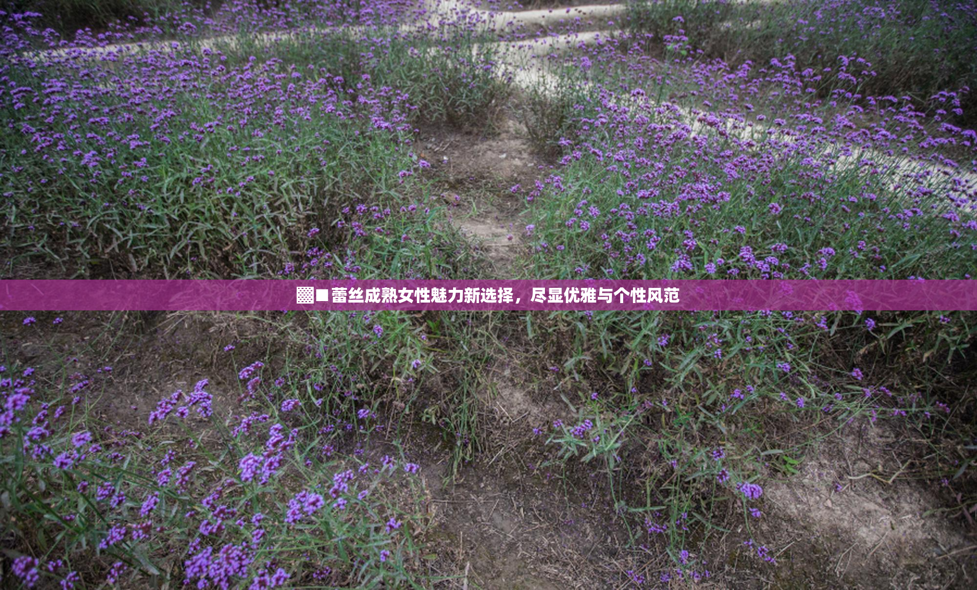 ▓■蕾丝成熟女性魅力新选择，尽显优雅与个性风范