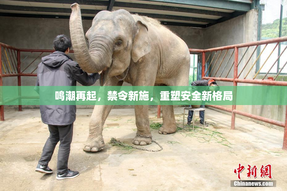 鸣潮再起，禁令新施，重塑安全新格局