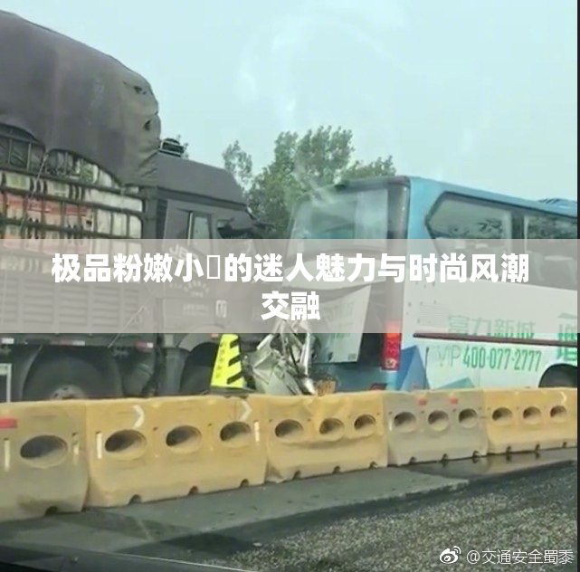 极品粉嫩小泬的迷人魅力与时尚风潮交融