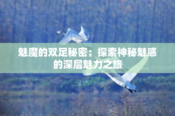 魅魔的双足秘密：探索神秘魅惑的深层魅力之旅