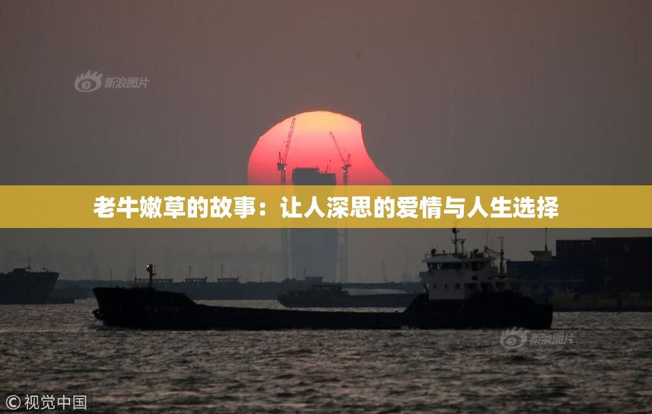 老牛嫩草的故事：让人深思的爱情与人生选择