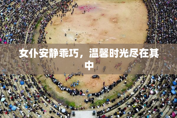 女仆安静乖巧，温馨时光尽在其中