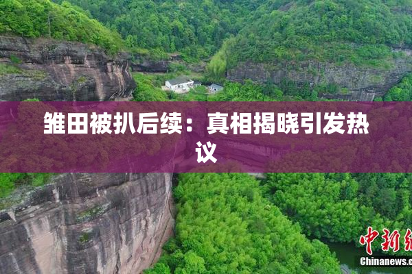 雏田被扒后续：真相揭晓引发热议