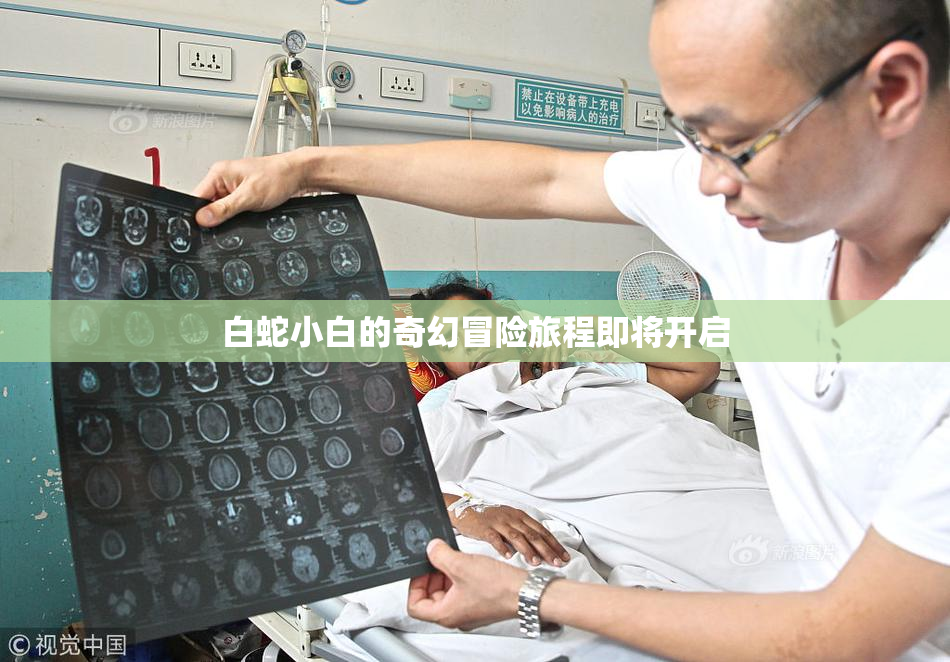 白蛇小白的奇幻冒险旅程即将开启