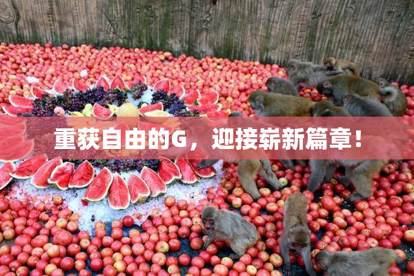 重获自由的G，迎接崭新篇章！