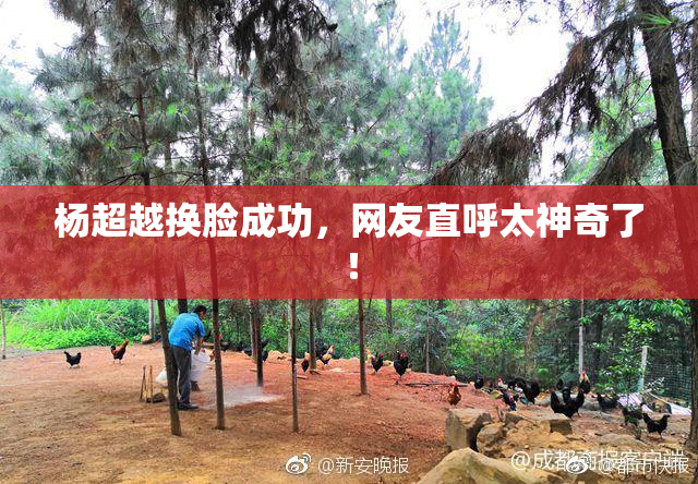 杨超越换脸成功，网友直呼太神奇了！
