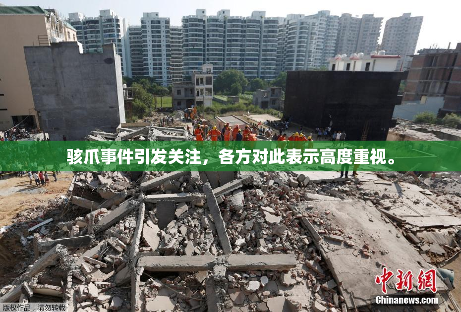 骇爪事件引发关注，各方对此表示高度重视。