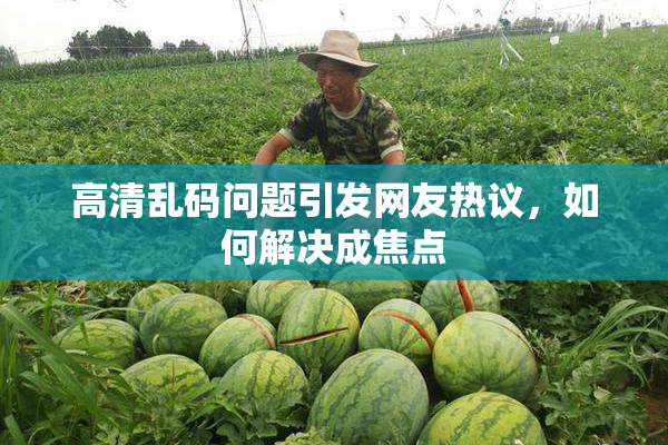 高清乱码问题引发网友热议，如何解决成焦点