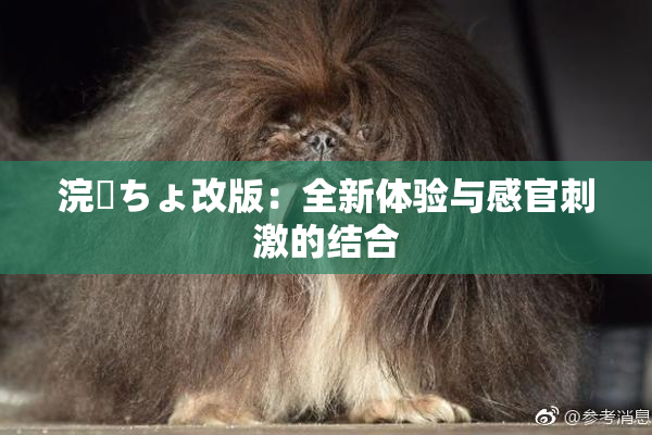 浣腸ちょ改版：全新体验与感官刺激的结合