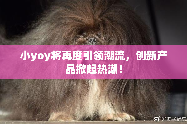 小yoy将再度引领潮流，创新产品掀起热潮！