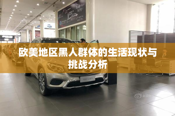 欧美地区黑人群体的生活现状与挑战分析
