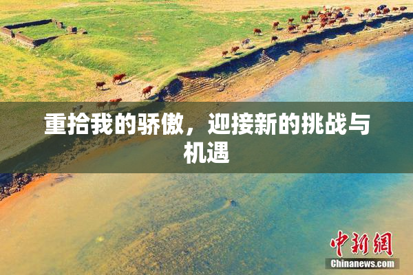 重拾我的骄傲，迎接新的挑战与机遇