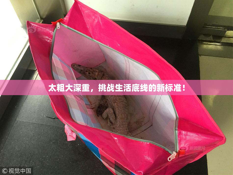 太粗大深重，挑战生活底线的新标准！
