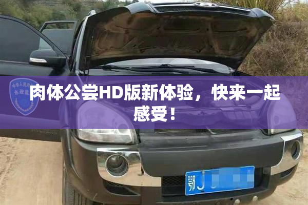 肉体公尝HD版新体验，快来一起感受！
