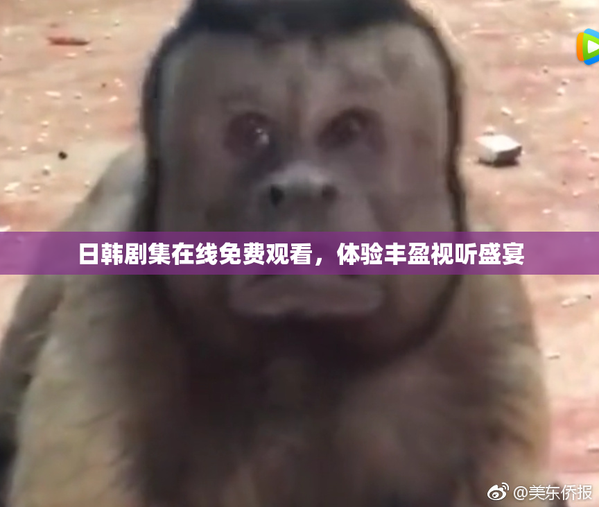 日韩剧集在线免费观看，体验丰盈视听盛宴