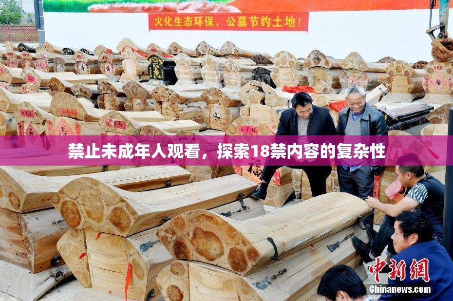 禁止未成年人观看，探索18禁内容的复杂性