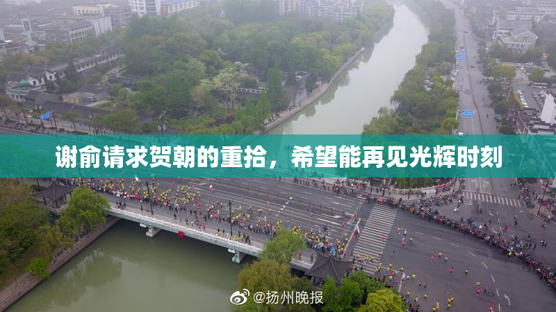 谢俞请求贺朝的重拾，希望能再见光辉时刻
