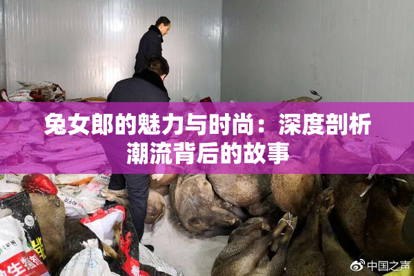 兔女郎的魅力与时尚：深度剖析潮流背后的故事