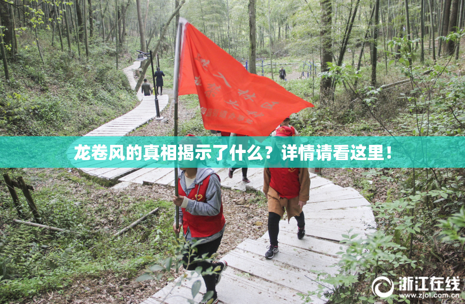 龙卷风的真相揭示了什么？详情请看这里！