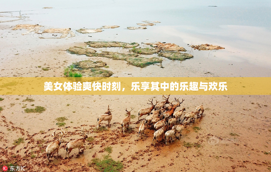 美女体验爽快时刻，乐享其中的乐趣与欢乐