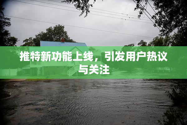 推特新功能上线，引发用户热议与关注
