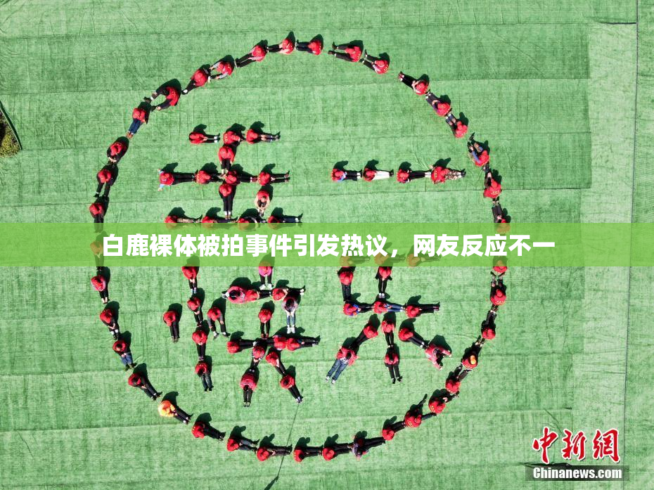 白鹿裸体被拍事件引发热议，网友反应不一