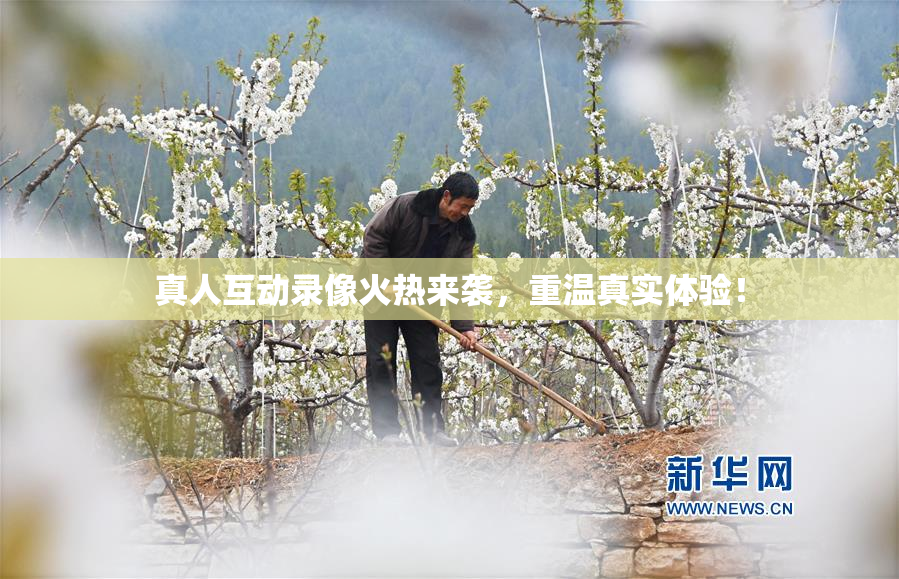 真人互动录像火热来袭，重温真实体验！