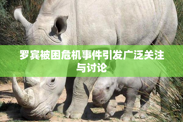 罗宾被困危机事件引发广泛关注与讨论