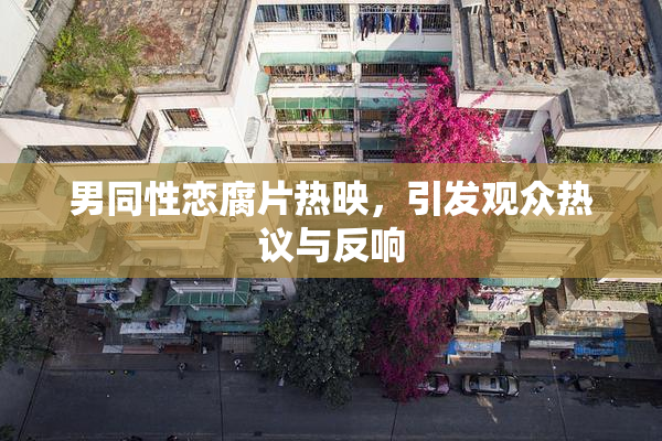 男同性恋腐片热映，引发观众热议与反响